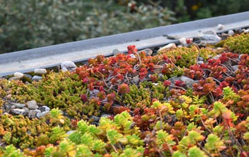 the cost of Blackbird Leys green roof installation